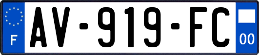 AV-919-FC