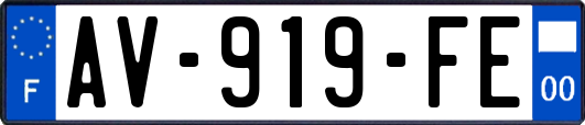 AV-919-FE
