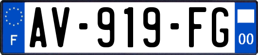 AV-919-FG