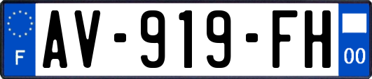 AV-919-FH