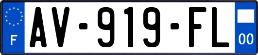 AV-919-FL