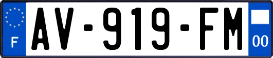 AV-919-FM