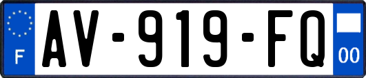 AV-919-FQ