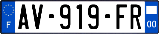 AV-919-FR