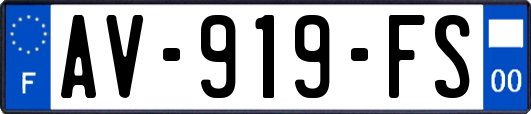 AV-919-FS