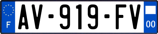 AV-919-FV