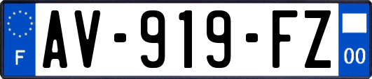AV-919-FZ