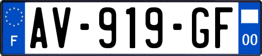 AV-919-GF