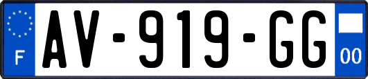 AV-919-GG