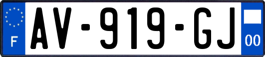 AV-919-GJ