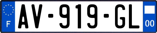 AV-919-GL