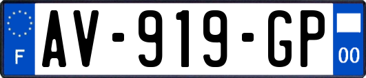 AV-919-GP
