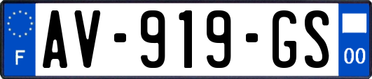 AV-919-GS