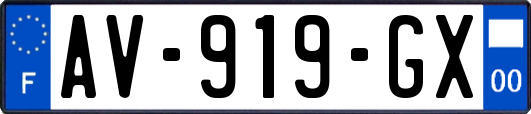 AV-919-GX