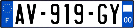 AV-919-GY