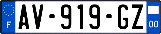 AV-919-GZ