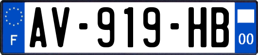 AV-919-HB