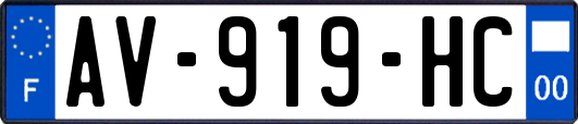 AV-919-HC