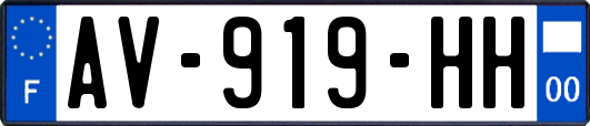 AV-919-HH