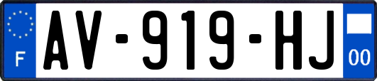AV-919-HJ