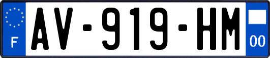 AV-919-HM