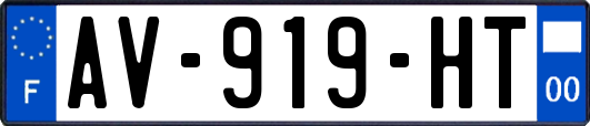 AV-919-HT