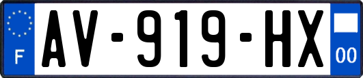 AV-919-HX
