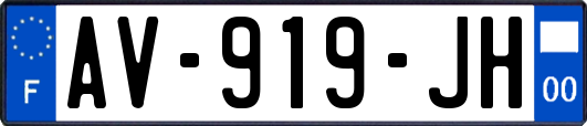 AV-919-JH