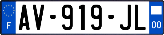AV-919-JL