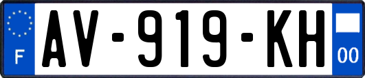 AV-919-KH