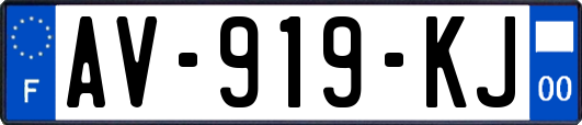AV-919-KJ