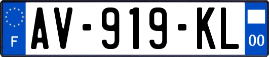 AV-919-KL