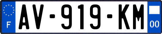 AV-919-KM
