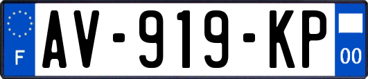AV-919-KP