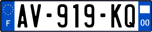 AV-919-KQ
