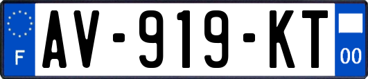 AV-919-KT