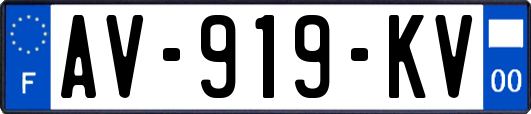 AV-919-KV