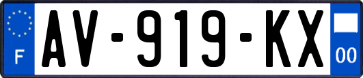 AV-919-KX