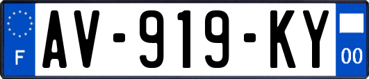 AV-919-KY