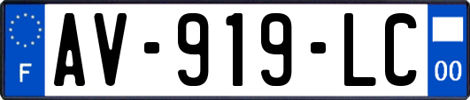 AV-919-LC
