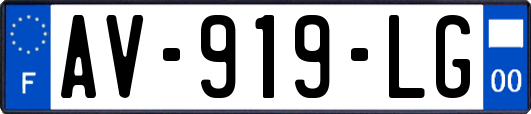 AV-919-LG