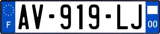 AV-919-LJ