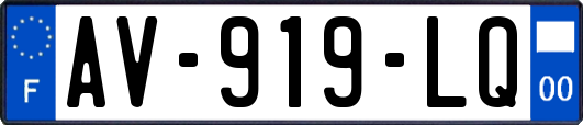 AV-919-LQ