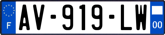 AV-919-LW