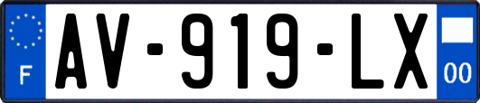 AV-919-LX