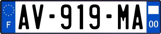 AV-919-MA