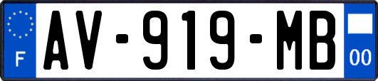 AV-919-MB
