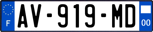 AV-919-MD