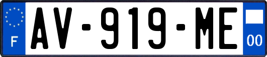 AV-919-ME