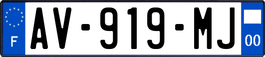 AV-919-MJ